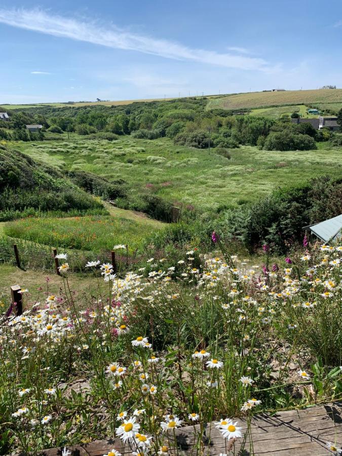 Tides Reach, Deluxe Shepherds Hut 1, 100M From The Beach Saint Merryn Luaran gambar